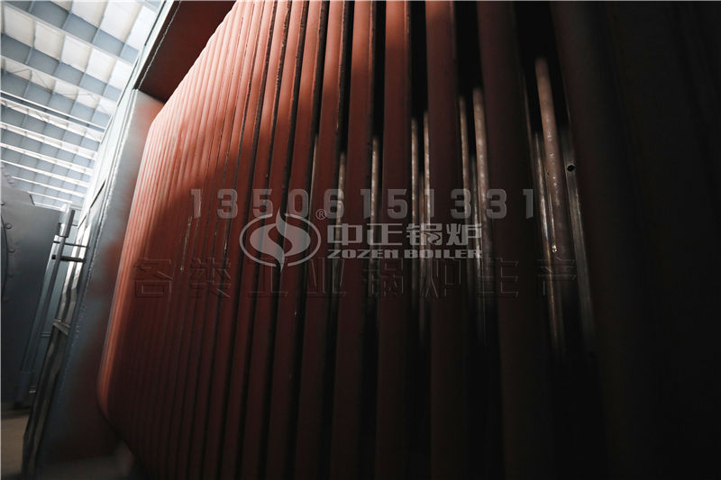 江蘇生物質(zhì)導(dǎo)熱油鍋爐供應(yīng) 導(dǎo)熱油鍋爐誰家性能好，價格合理?